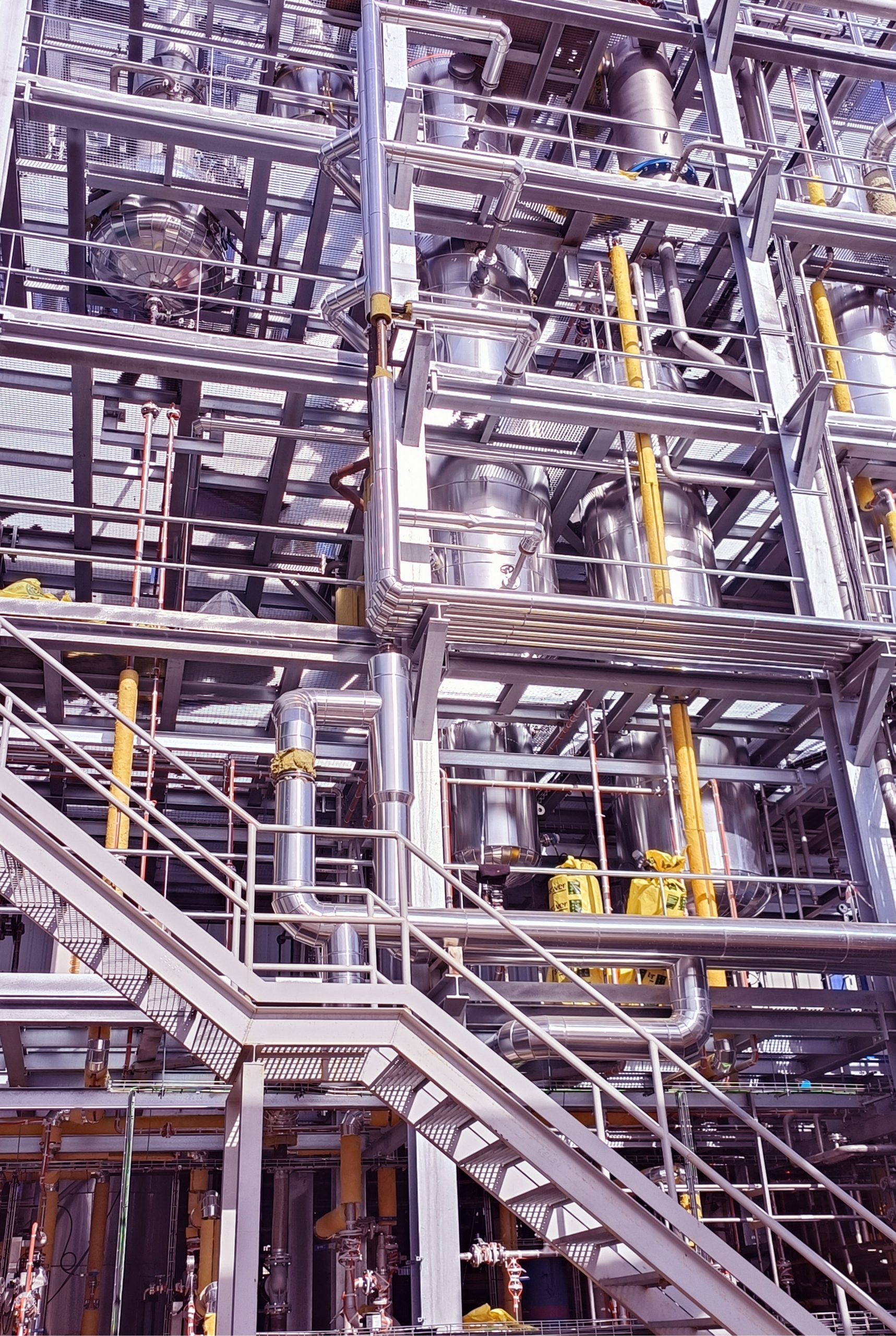 complete plant process